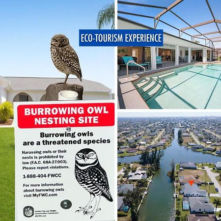 Luxury Waterfront Haven In Cape Coral - Dog-Friendly Escape With Private Pool Villa Eksteriør bilde