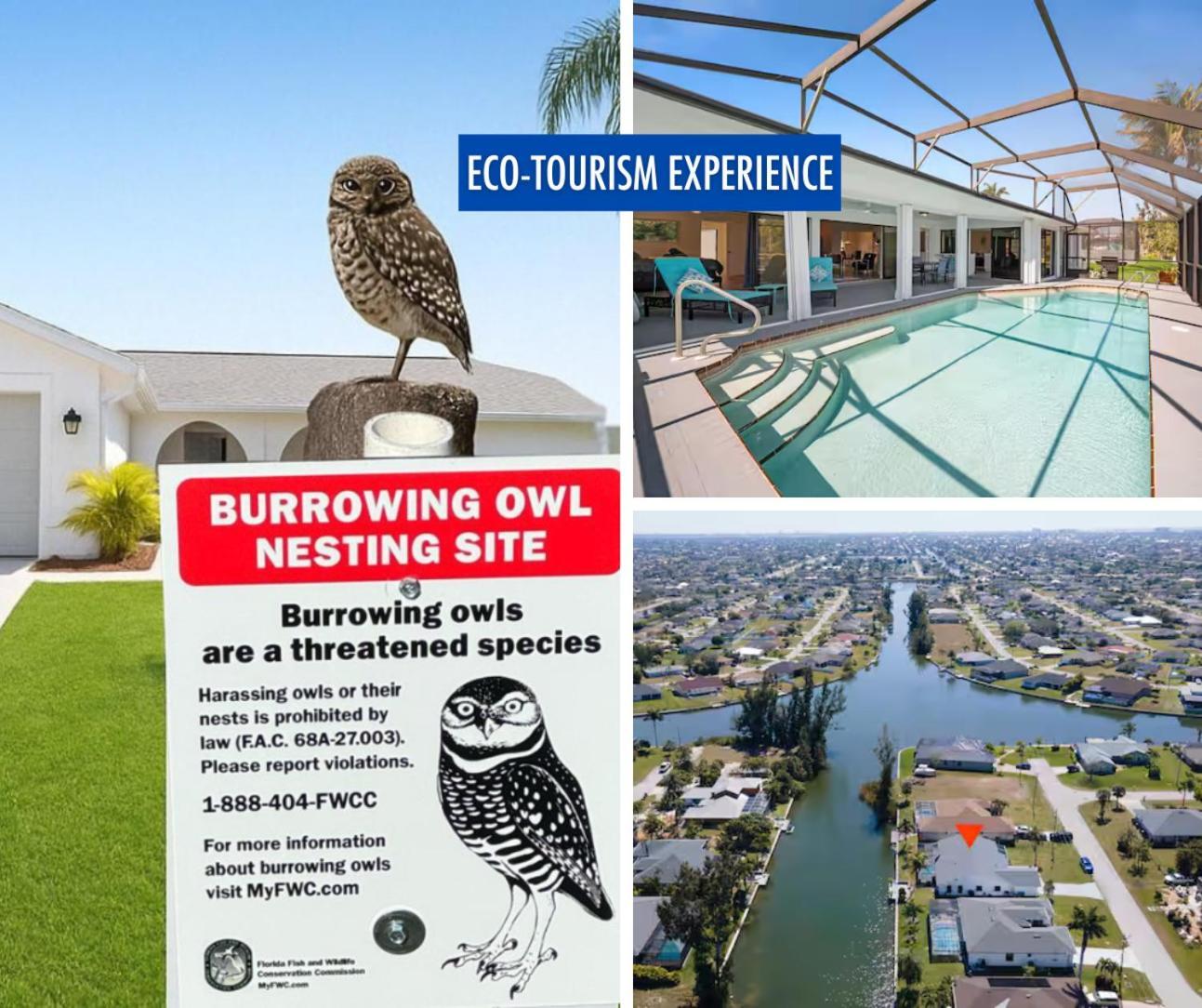 Luxury Waterfront Haven In Cape Coral - Dog-Friendly Escape With Private Pool Villa Eksteriør bilde